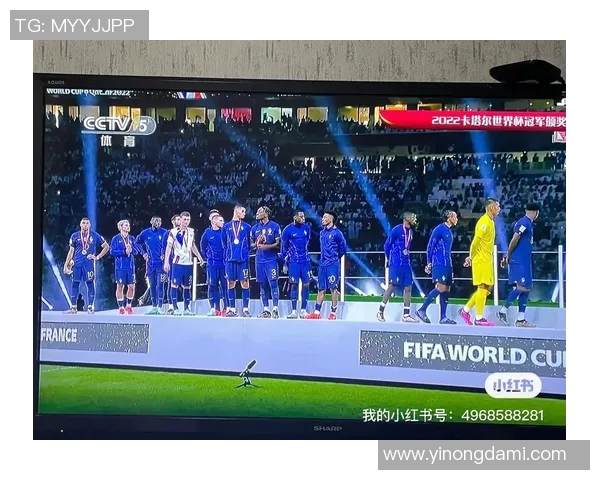 足球球星背后的奋斗与荣耀:从技艺到人格的全面解析