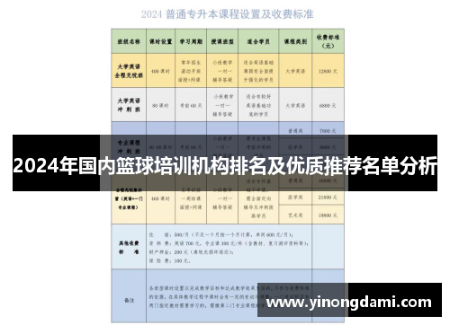 2024年国内篮球培训机构排名及优质推荐名单分析