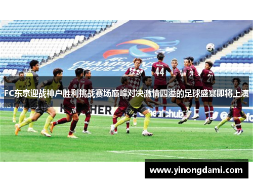 FC东京迎战神户胜利挑战赛场巅峰对决激情四溢的足球盛宴即将上演
