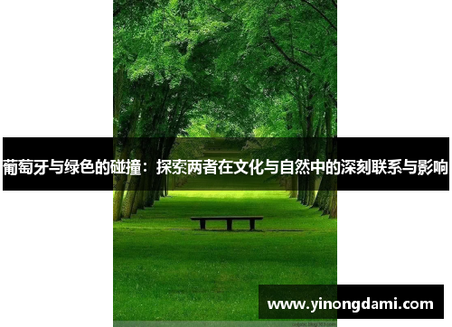 葡萄牙与绿色的碰撞：探索两者在文化与自然中的深刻联系与影响